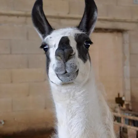 Prázdninový dům Ecolo Proche Nature Et Lerab Ling Il Faut Lire Les Restrictions Bas Sous La Rubrique Votre Avec Photo *
