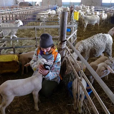 Prázdninový dům Ecolo Proche Nature Et Lerab Ling Il Faut Lire Les Restrictions Bas Sous La Rubrique Votre Avec Photo *