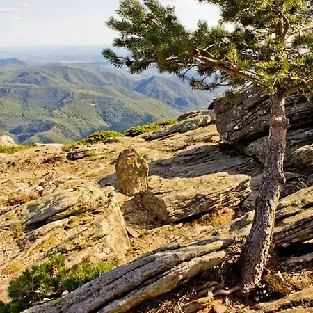 Casa de Férias Gite Ecolo Avene, Proche Nature Et Lerab Ling Il Faut Lire Les Restrictions Plus Bas Sous La Rubrique Votre Hote Avec Photo
