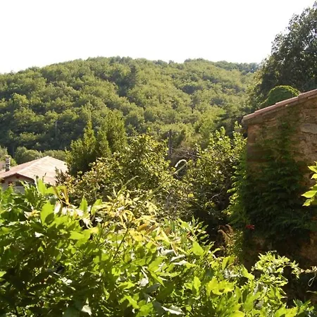Gite Ecolo Avene Jardin Convient Mieux Aux Ecolos Lire Mon Texte Face A Inf Sur L'Hote Et Ma Photo Avene