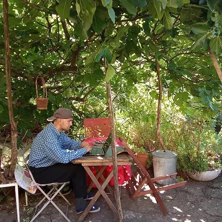 Ecolo Proche Nature Et Lerab Ling Il Faut Lire Les Restrictions Bas Sous La Rubrique Votre Avec Photo *