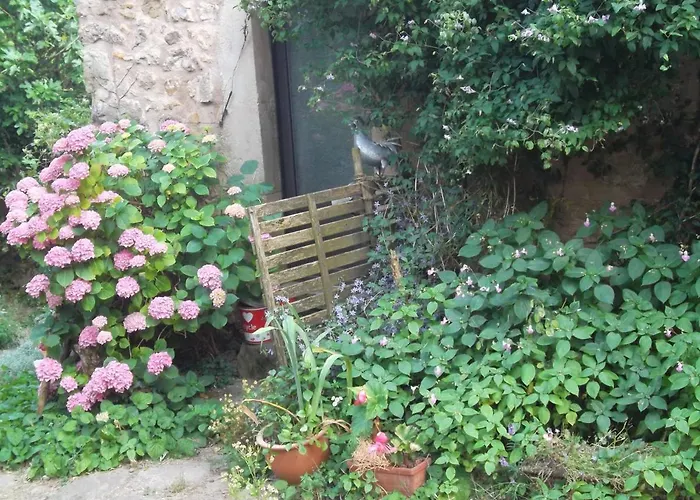 Ecolo Avene, Proche Nature Et Lerab Ling Il Faut Lire Les Restrictions Bas Sous La Rubrique Votre Avec Photo * 阿韦恩