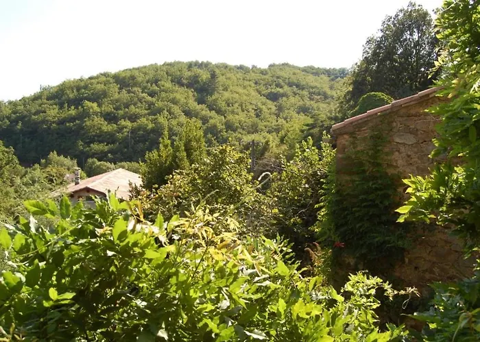 Ecolo Avene, Proche Nature Et Lerab Ling Il Faut Lire Les Restrictions Bas Sous La Rubrique Votre Avec Photo 阿韦恩