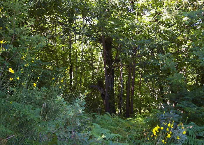 Ecolo Avene, Proche Nature Et Lerab Ling Il Faut Lire Les Restrictions Bas Sous La Rubrique Votre Avec Photo *