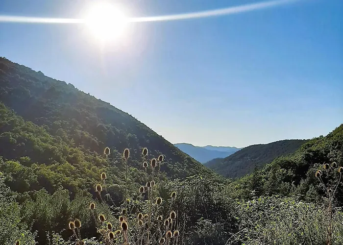 度假居 Ecolo Avene, Proche Nature Et Lerab Ling Il Faut Lire Les Restrictions Bas Sous La Rubrique Votre Avec Photo *